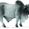 Collecta 88579 Brahman sonni
