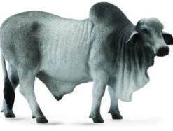 Collecta 88579 Brahman sonni
