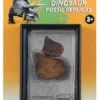 Collecta Fossiilinen jäljennös Stegosauruksen selkälevy