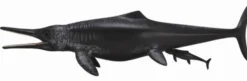 Collecta 88724 Temnodontosaurus Platyodon