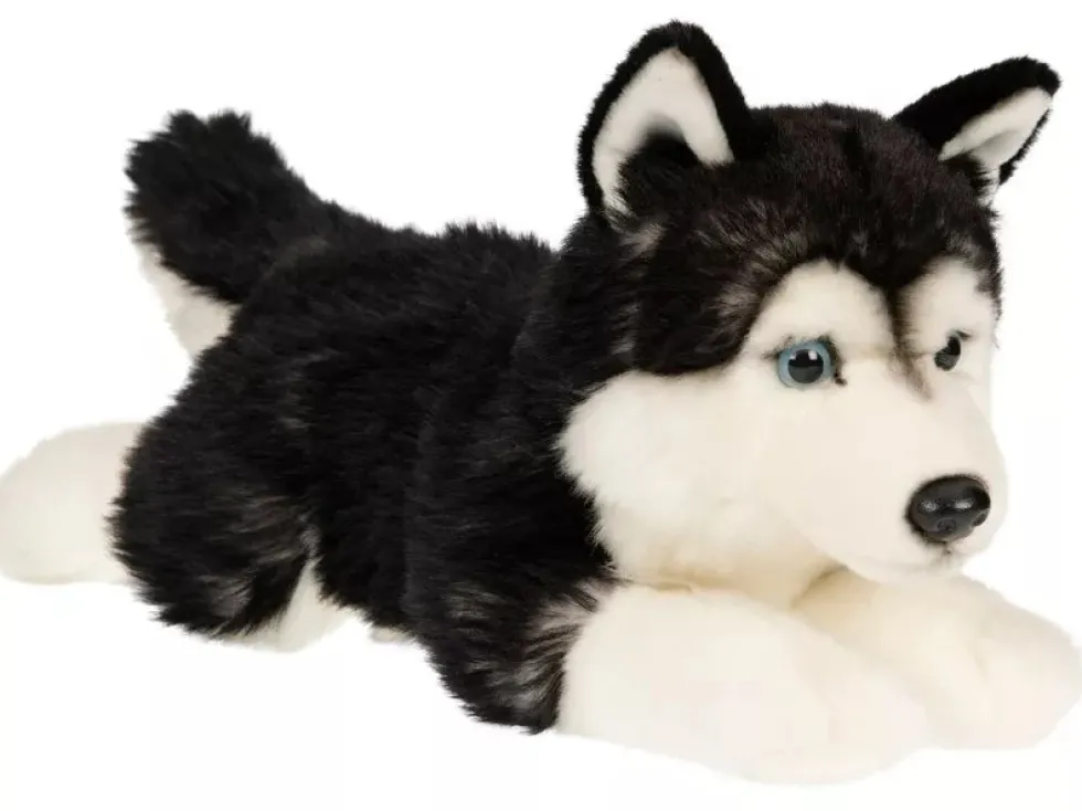 Husky koira pehmolelu 36cm