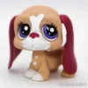 Littlest Petshop Basset #1784