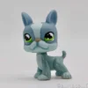 Littlest Petshop Bostonin terrieri #857