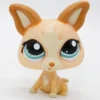 Littlest Petshop Chihuahua #1656