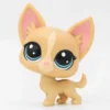 Littlest Petshop Chihuahua #92 - Second Hand