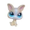 Littlest Pet Shop Chihuahua #837 - Second Hand