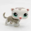 Littlest Petshop Fretti #579