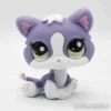 Littlest Petshop Kissa pentu #2033