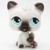 Littlest Petshop Kissa #PP1