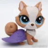 Littlest Petshop Pomerian koira #248