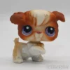 Littlest Petshop Villakoira #37