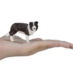 Mojo Border Collie
