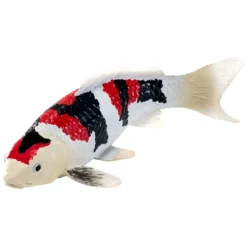 Mojo Koikarppi - Showa Sanshoku tricolor