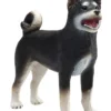 Mojo Shiba Inu koira