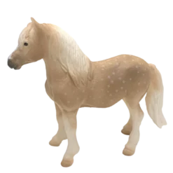 Mojo Walesin poni