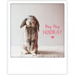 Pick Motion "Hop Hop Hooray" Pupu -kortti