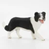 Schleich Border Collie - Second Hand