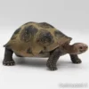 Schleich Kilpikonna 14601 - Second Hand