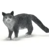 Schleich 13893 Maine-Coon kissa