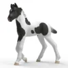 Schleich 81481 varsa Rocky - Limited edition series 2